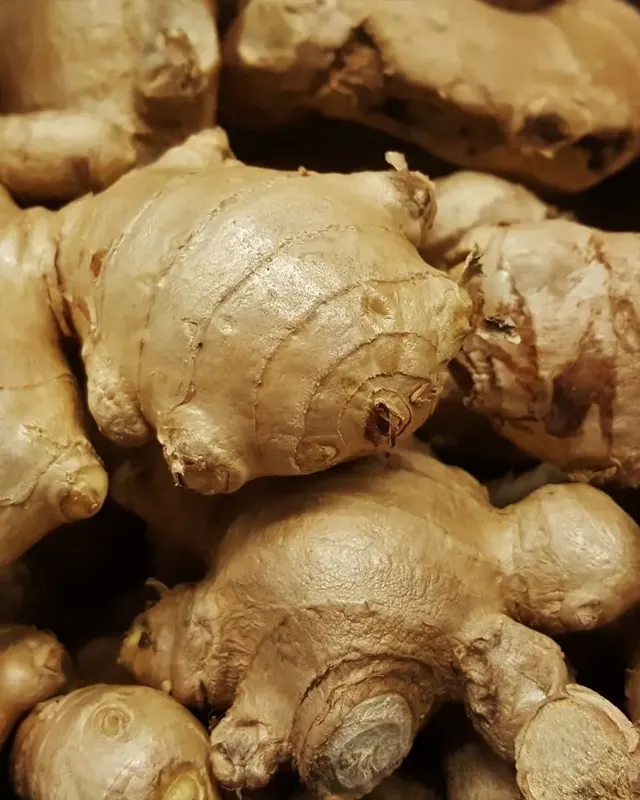 Ginger Extract